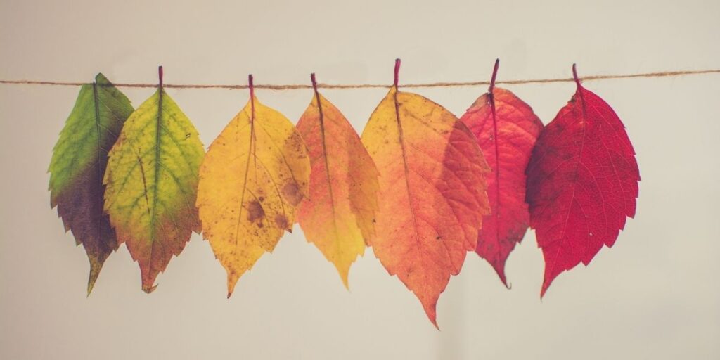 Instagram Hashtags for Autumn and Winter