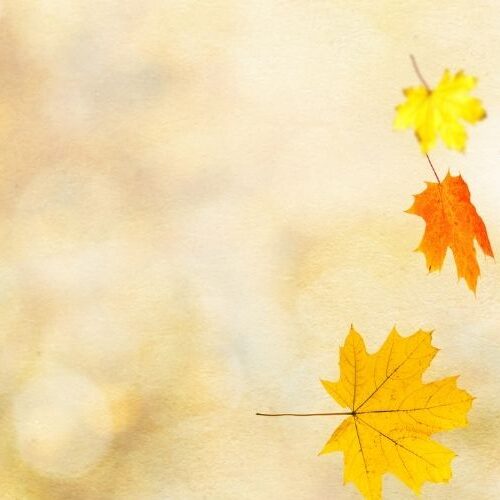Image of falling Autumn leaves