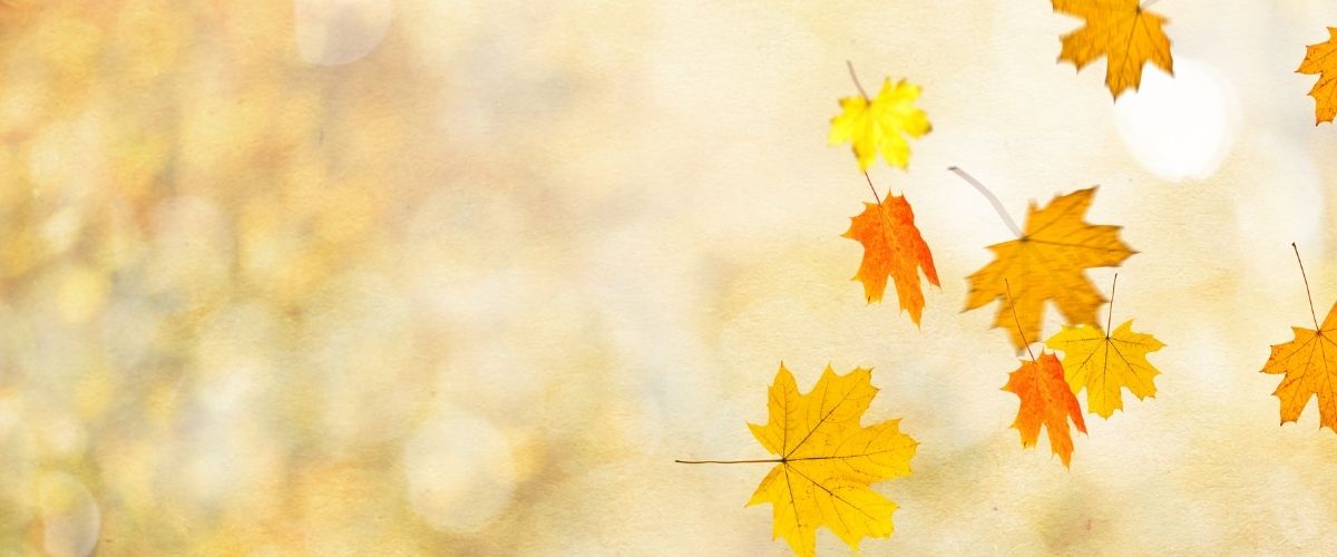 Image of falling Autumn leaves