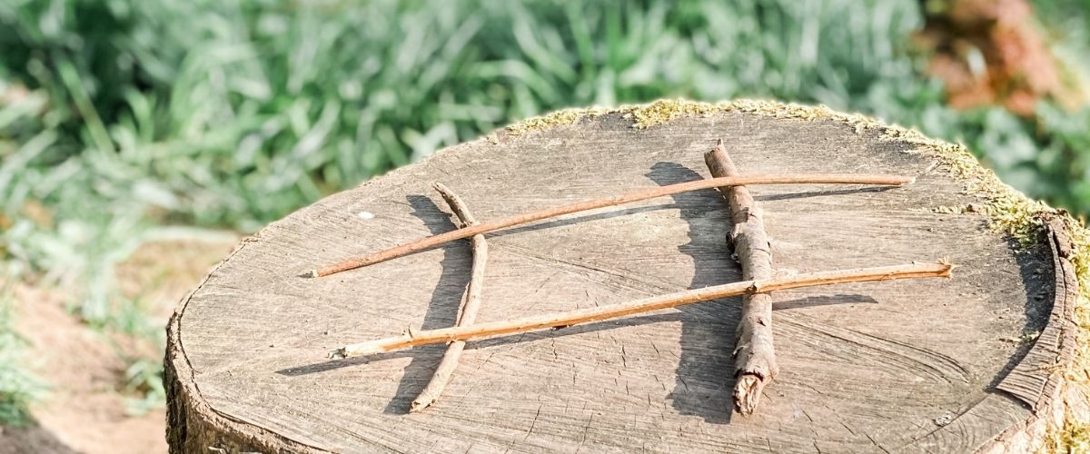 Image of cut tree trunk with hashtag made of sticks