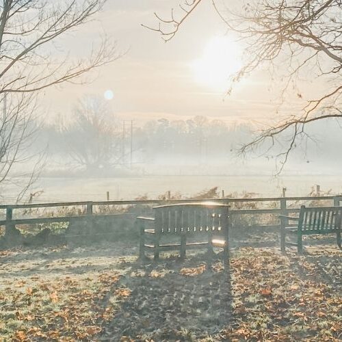 November awareness days Sarah Richards Social