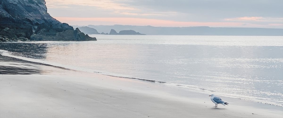 Sarah Richards Social. Instagram Coach and COntent Specialist. Image of beach at sunrise