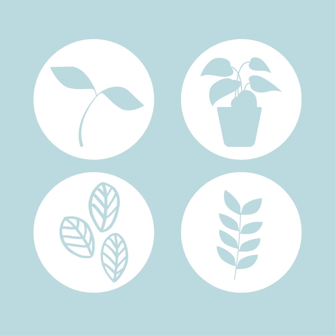 Graphic pale blue background with white story highlight cover icons of plants