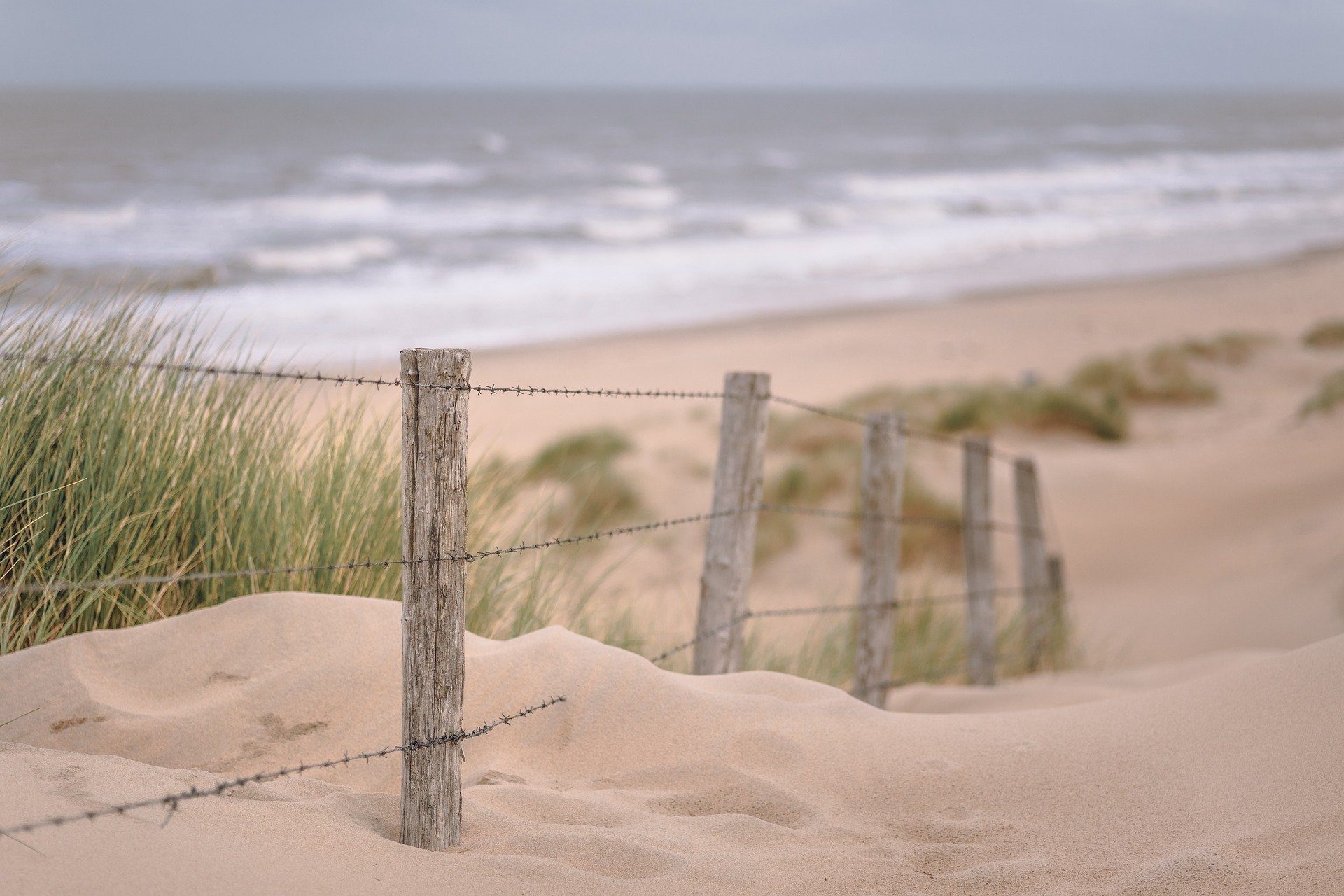 Windswept beach on an autumn day